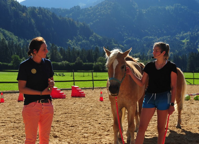 Erlebnisse: Pferde gestütztes Coaching im Allgäu