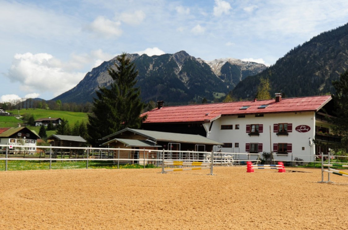 Erlebnisse: Pferde gestütztes Coaching im Allgäu