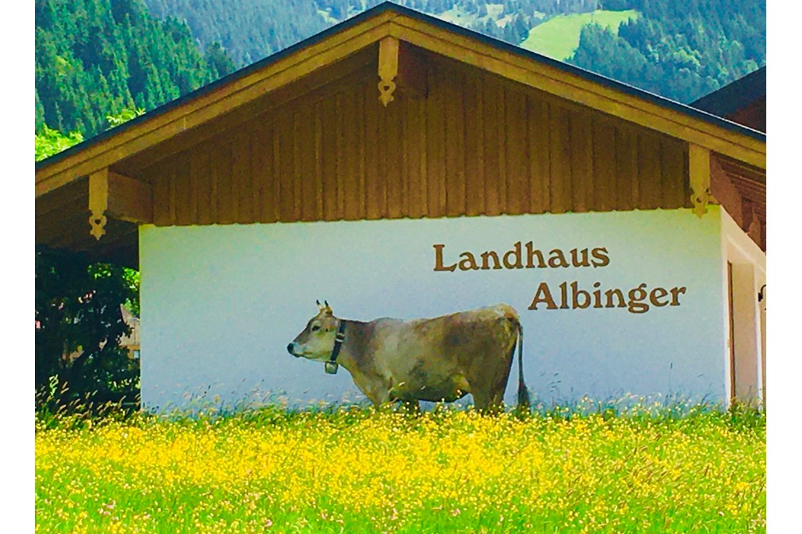 Unterkunft im Allgäu: KUhler Besuch im Wäldle - Albingers Landhaus