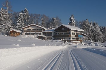 Gastgeber im Oberallgäu: Loipe und Winterwanderweg direkt ab Hotel - Alphorn - das Hotel mit Weitblick - Ofterschwang im Allgäu