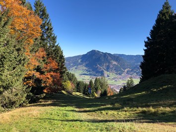 Mein Landhaus Burgberg Angebote Herbst in Burgberg im Oberallgäu