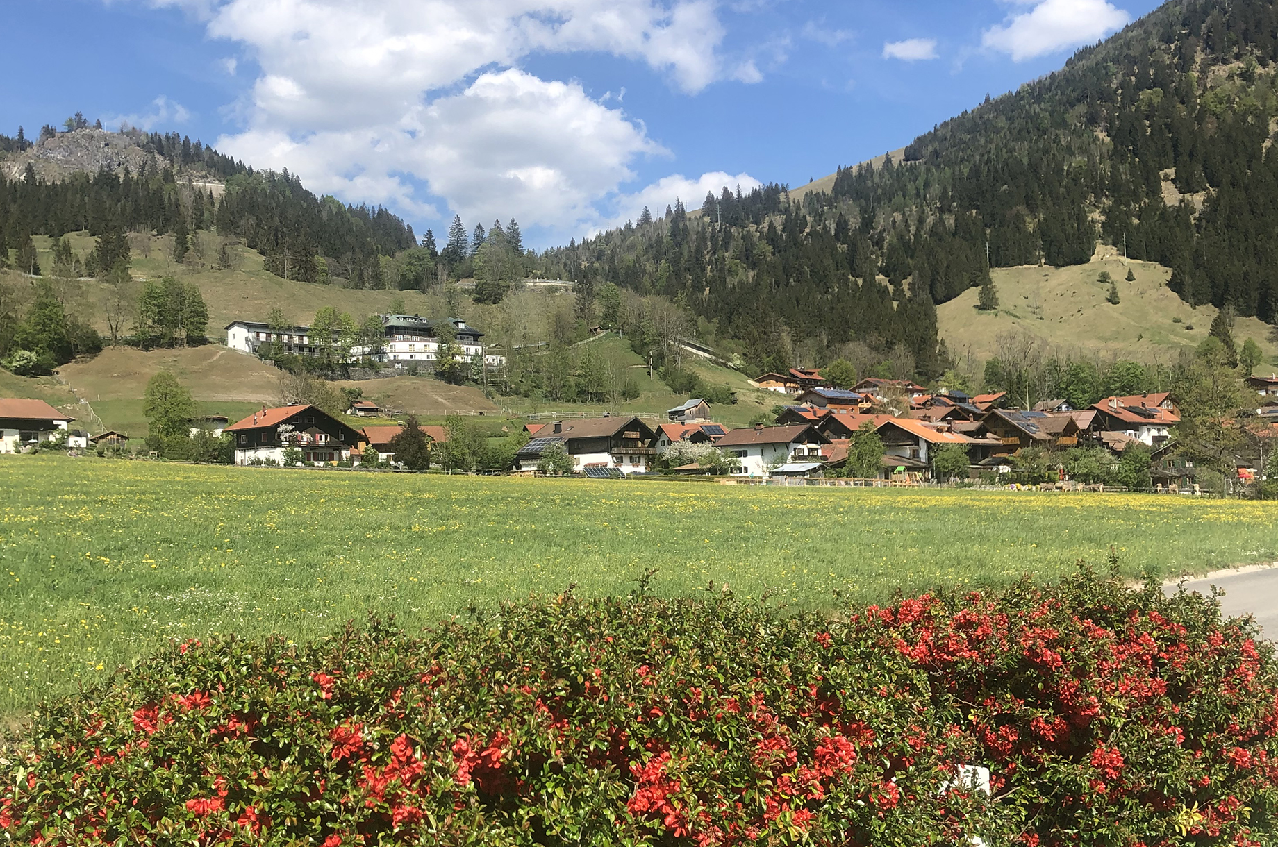 Unterkunft im Allgäu: Bad Hindelang - Oberdorf - Gästehaus - Pension Bauerle