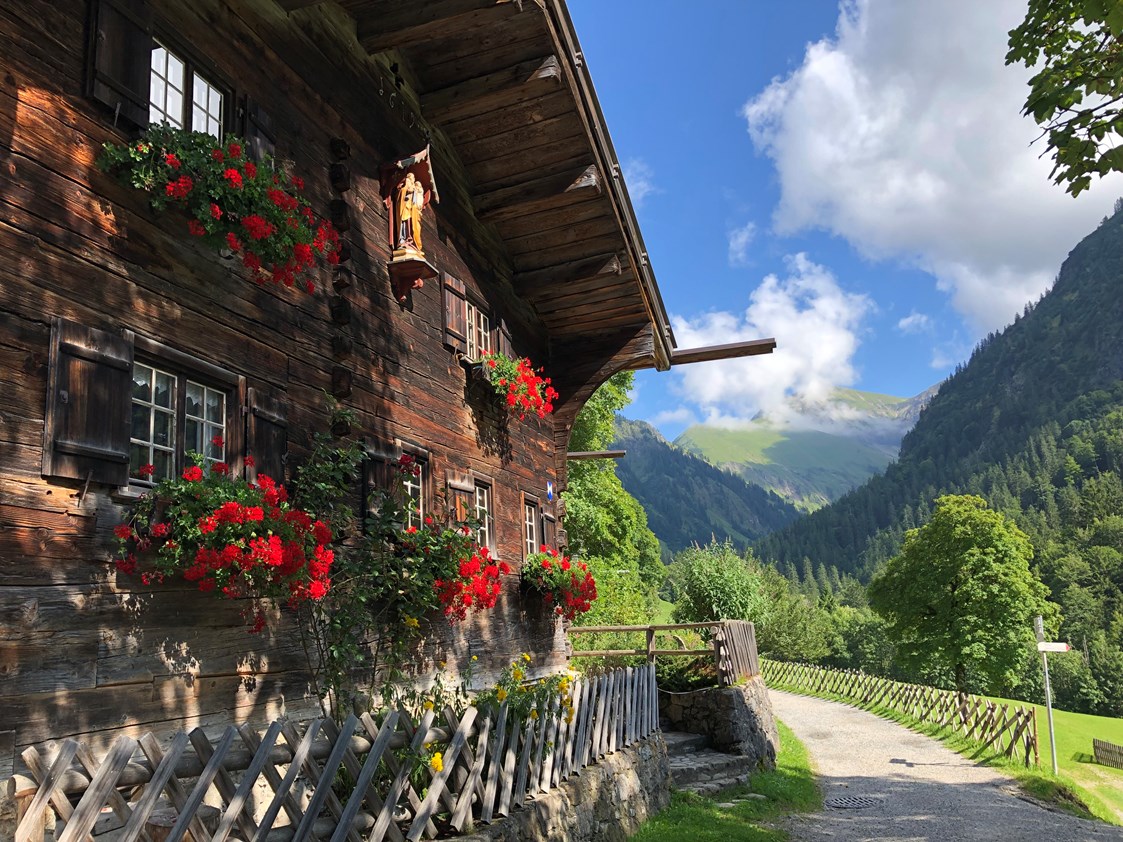 Gastgeber im Oberallgäu: Sommerurlaub im Wanderparadies Oberstdorf im Allgäu - Besler - Gästehaus & Ferienwohnungen