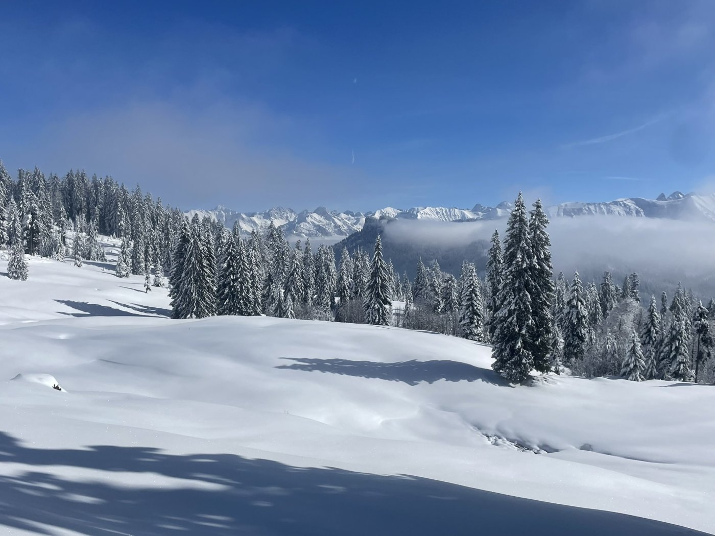 Erlebnisse im Oberallgäu: Alpintrekker - Den Winter im Allgäu erleben - Alpintrekker - Den Winter im Allgäu erleben