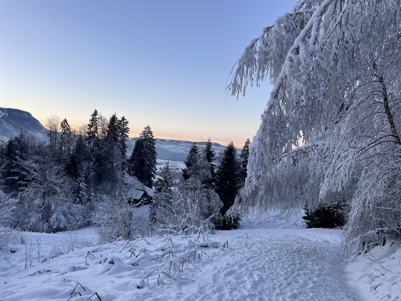Erlebnisse im Oberallgäu: Alpintrekker - Den Winter im Allgäu erleben - Alpintrekker - Den Winter im Allgäu erleben