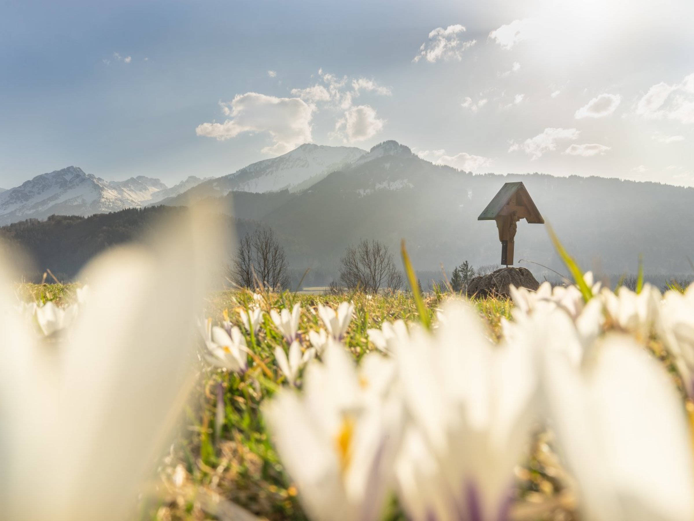 Unterkunft im Allgäu: Ferienwohnungen Landhaus Eggensberger - in Fischen im Allgäu - Ferienwohnungen Landhaus Eggensberger in Fischen im Allgäu