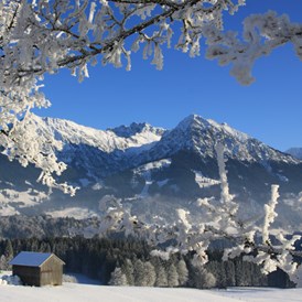 gastgeber-im-oberallgaeu: Auf Winterspaziergang rundum die Forelle in Obermaiselstein - Ferienpension Forelle