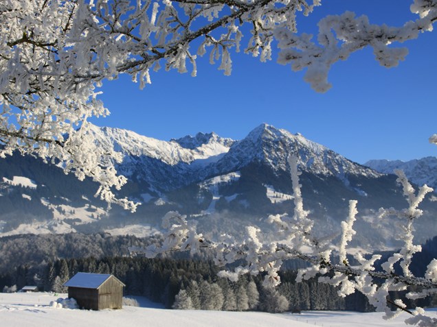 gastgeber-im-oberallgaeu: Auf Winterspaziergang rundum die Forelle in Obermaiselstein - Ferienpension Forelle