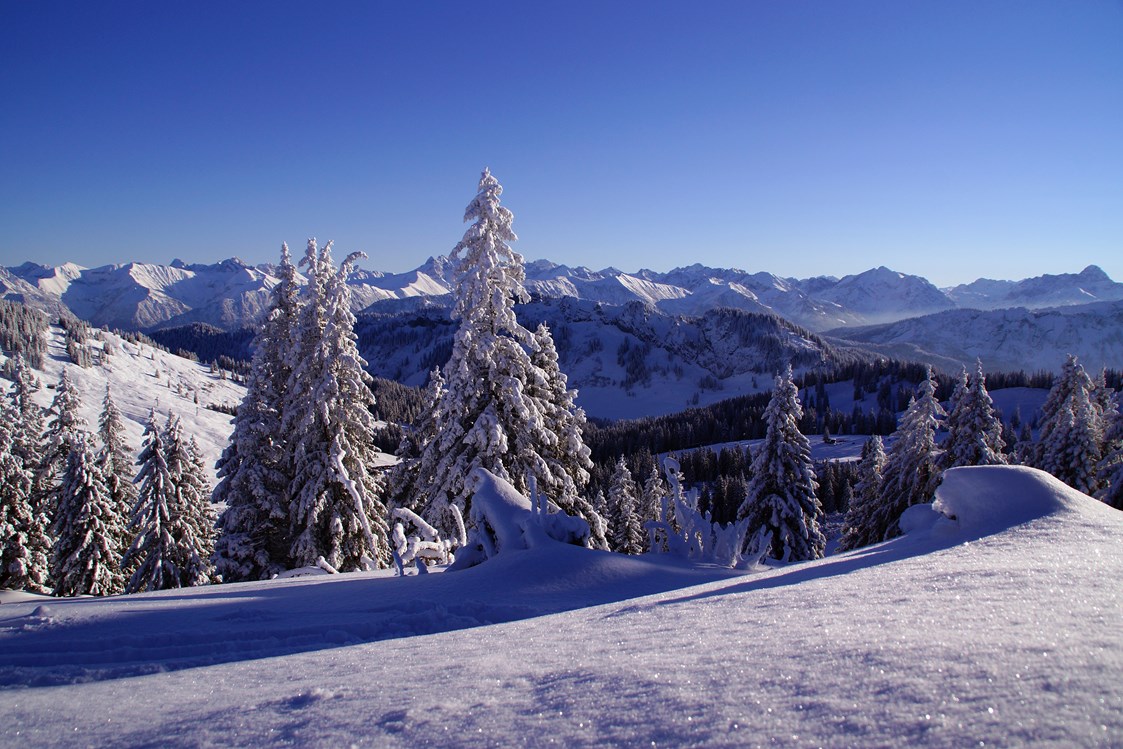 gastgeber-im-oberallgaeu: Winterimpressionen oberhalb von Obermaiselstein  - Ferienpension Forelle