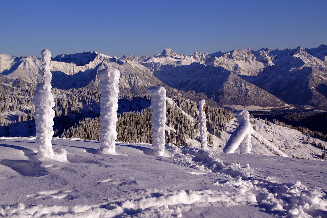 gastgeber-im-oberallgaeu: Winterimpressionen oberhalb von Obermaiselstein  - Ferienpension Forelle