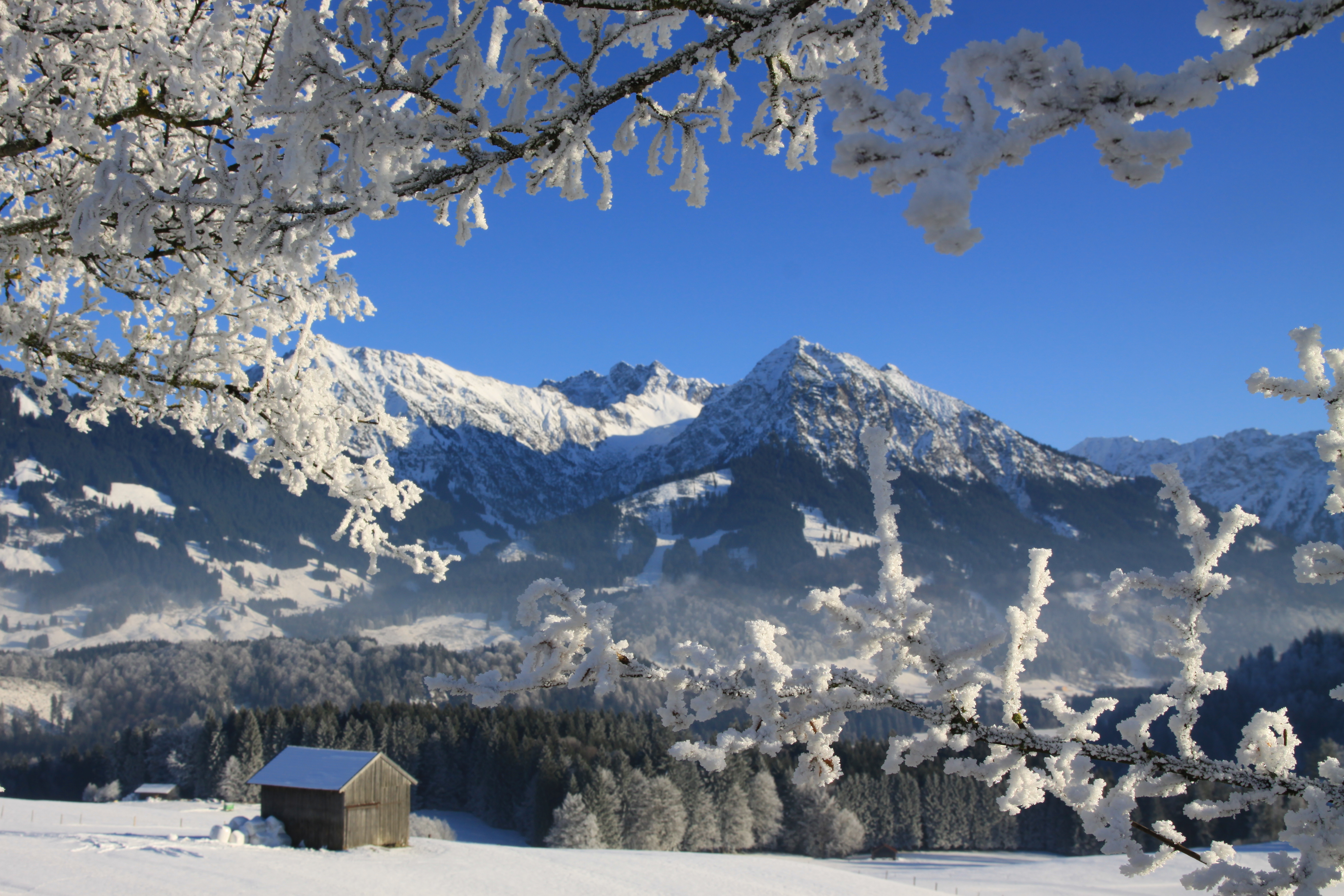 Unterkunft im Allgäu: Pension Forelle mit Halbpension in Obermaiselstein im Allgäu - Ferienpension Forelle