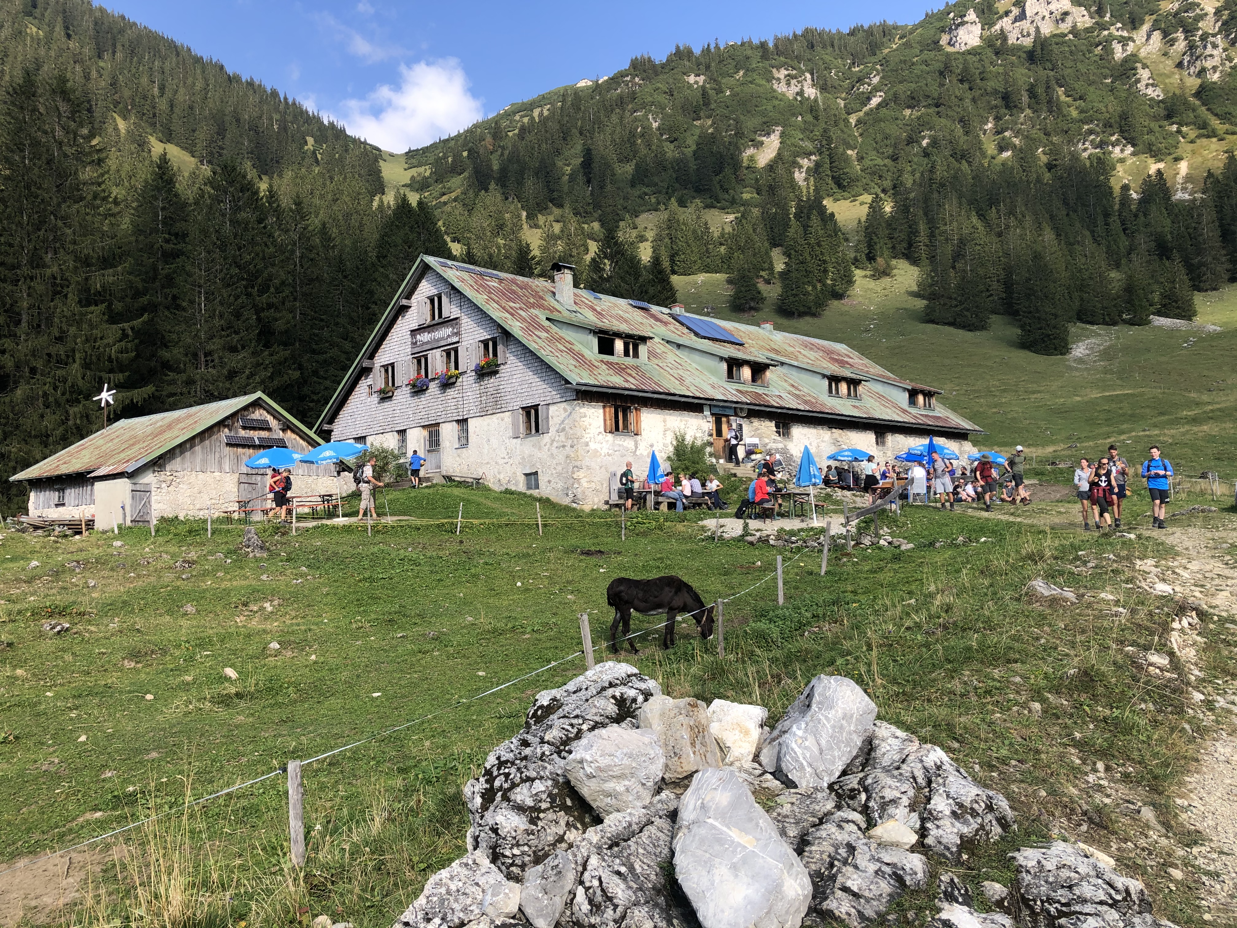 Unterkunft im Allgäu: Ferienwohnungen in Bad Hindelang im Allgäu - Hennenmühle - 4 / 5-Sterne Ferienwohnungen Hennenmühle im Allgäu