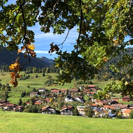 Gastgeber im Oberallgäu: Landhaus Milena - Ferienwohnungen im Oberallgäu - Landhaus Milena - Ferienwohnungen Obermaiselstein 