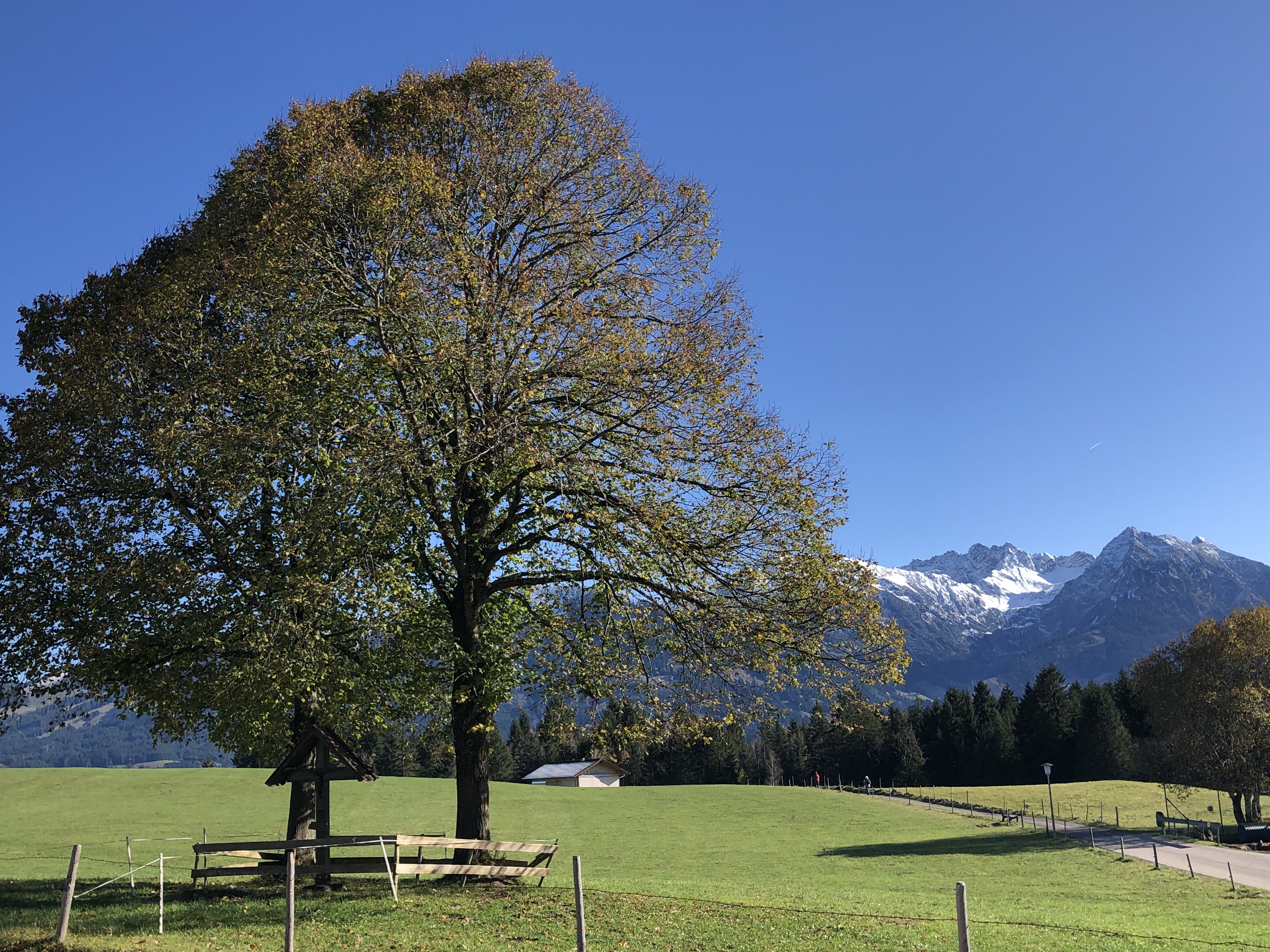 Unterkunft im Allgäu: Landhaus Milena - Ferienwohnungen im Oberallgäu - 3Landhaus Milena - Ferienwohnungen Obermaiselstein