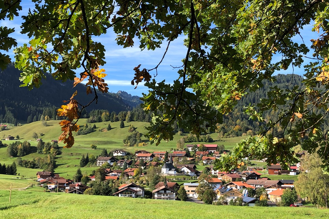 Unterkunft im Allgäu: Landhaus Milena - Ferienwohnungen im Oberallgäu - Landhaus Milena - Ferienwohnungen Obermaiselstein