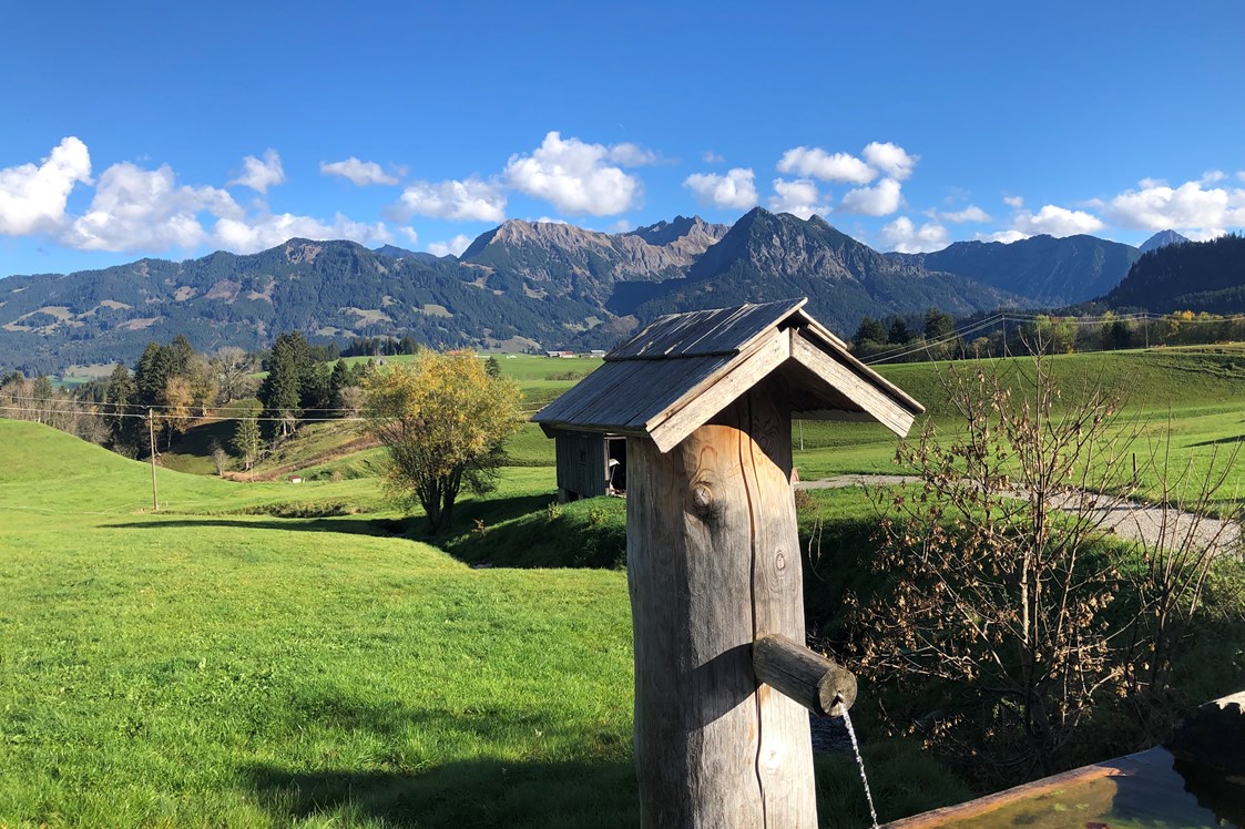 Unterkunft im Allgäu: Landhaus Milena - Ferienwohnungen im Allgäu - Landhaus Milena - Ferienwohnungen Obermaiselstein