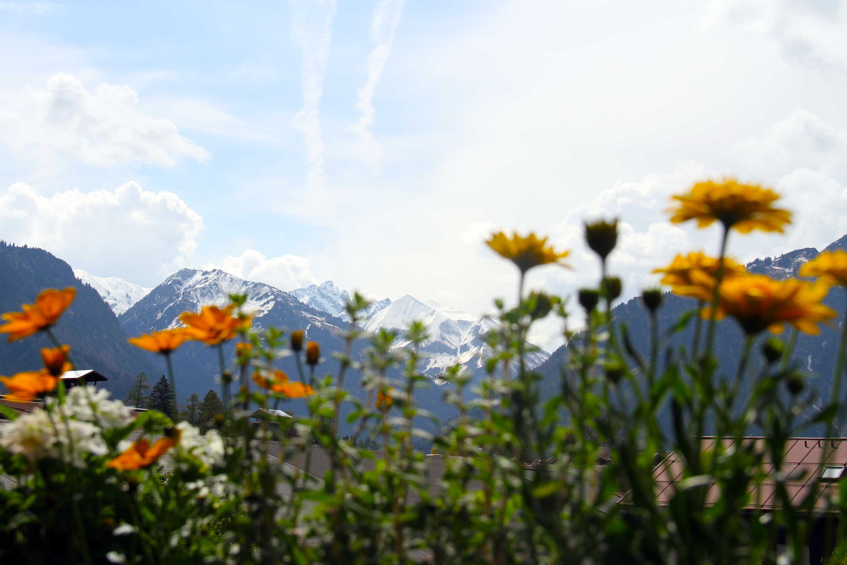 Unterkunft im Allgäu: Ferienwohnungen in Oberstdorf im Allgäu - Haus Rappenkopf - Haus Rappenkopf - Ferienwohnungen in Oberstdorf im Allgäu