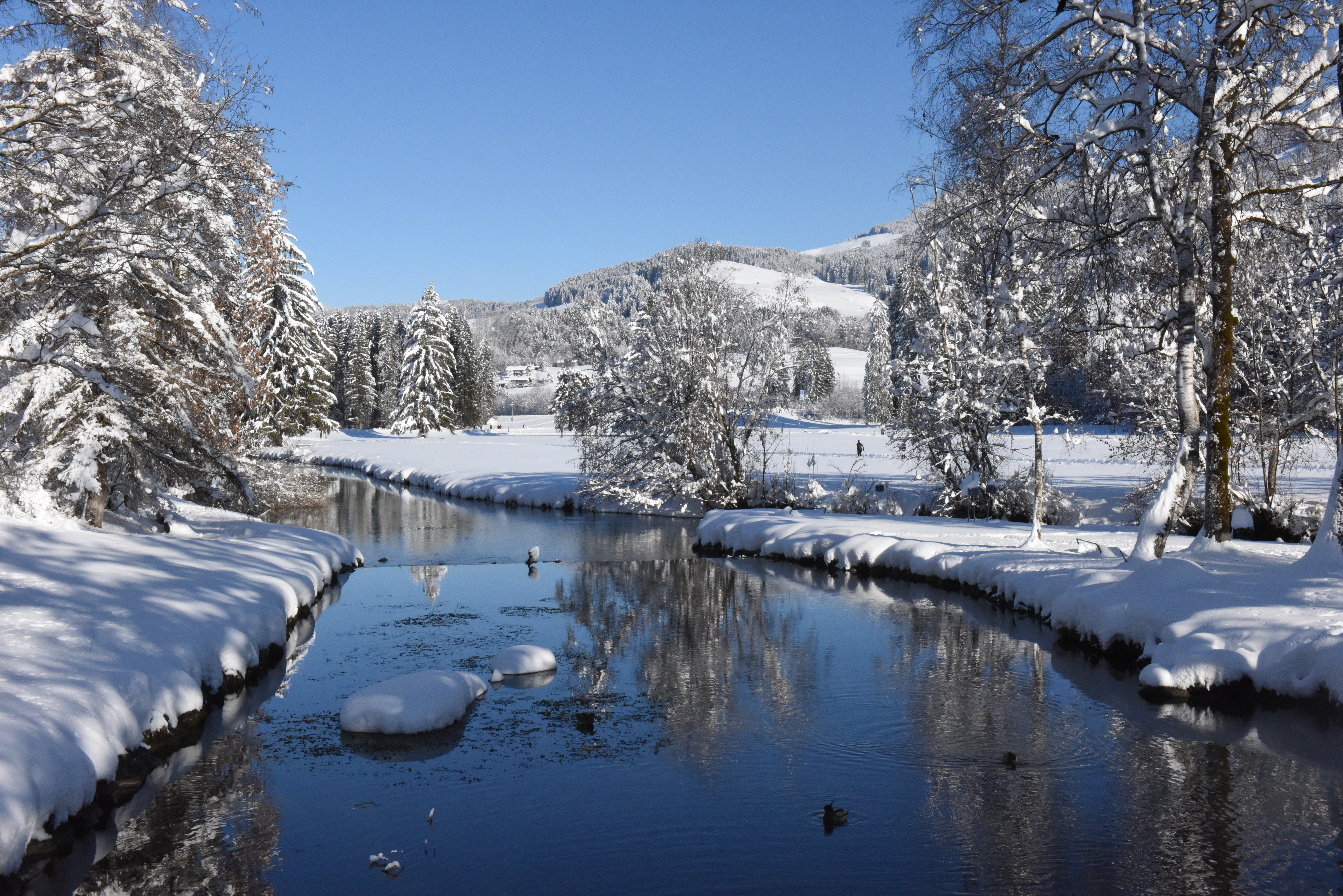 Unterkunft im Allgäu: Ferienwohnung Schmidbauer - in Fischen im Oberallgäu - Ferienhof Schmidbauer in Fischen im Allgäu