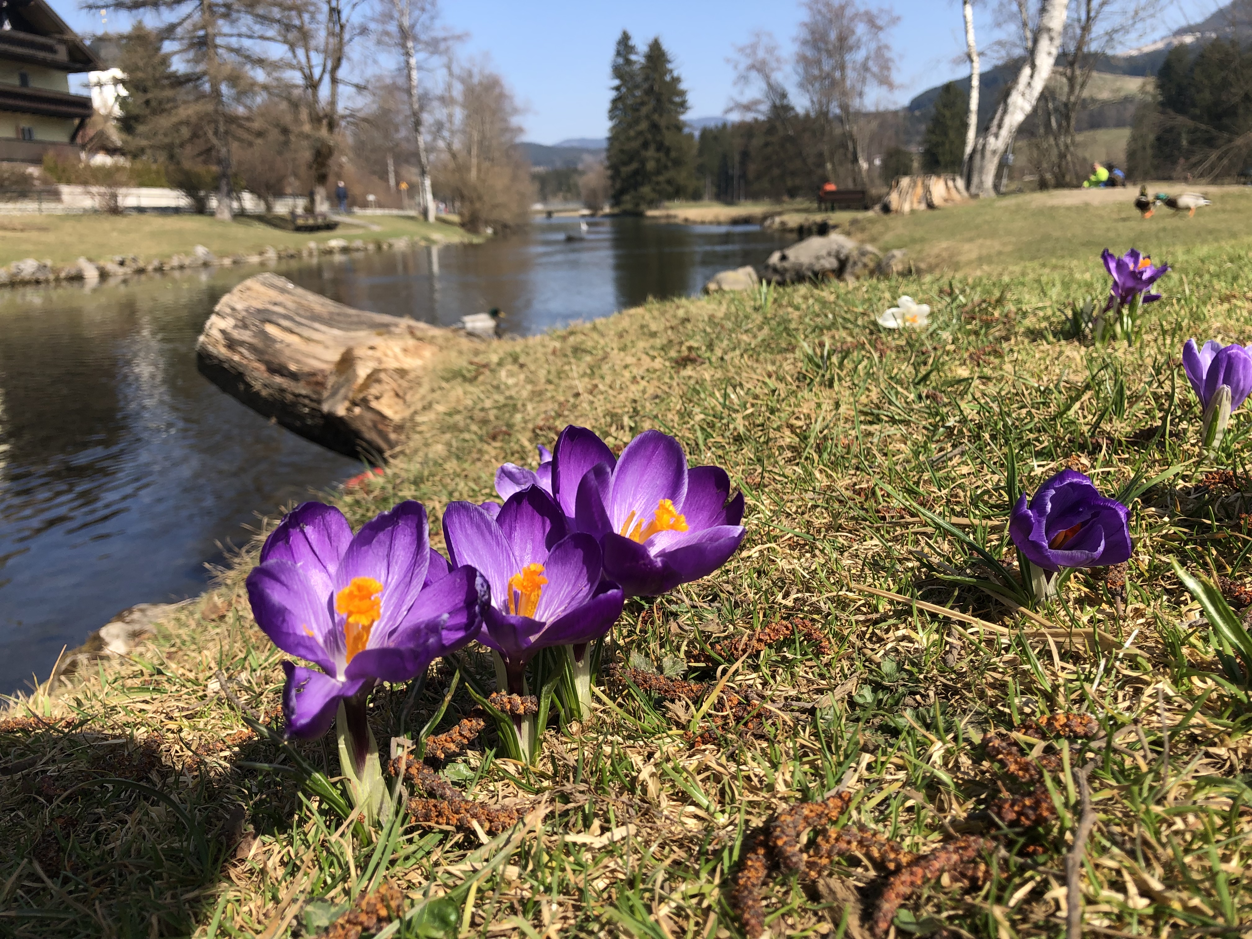 Unterkunft im Allgäu: Ferienwohnungen Schmidbauer - in Fischen im Oberallgäu - Ferienhof Schmidbauer in Fischen im Allgäu