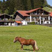 hotels-und-ferienwohnungen-im-oberallgaeu: Berghof am Paradies