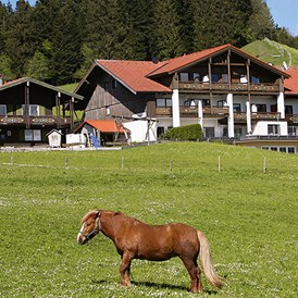 gastgeber-im-oberallgaeu: Berghof am Paradies