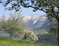Unterkunft im Allgäu: Hochgrat bei Oberstaufen - Steibis im Allgäu - Berghof am Paradies