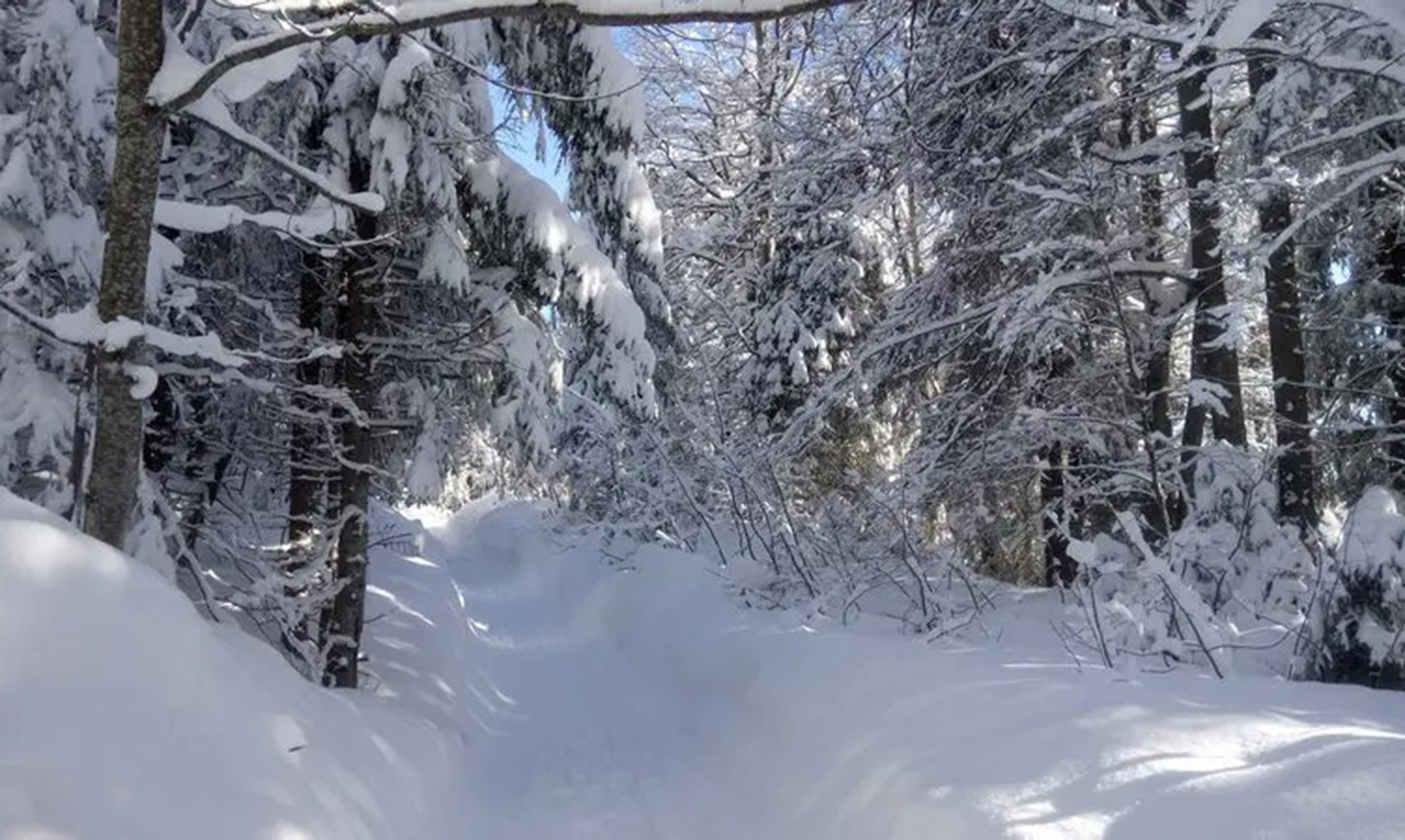Unterkunft im Allgäu: Landhaus Thomma - Ferienwohnungen in Oberjoch im Allgäu - Landhaus Thomma - Ferienwohnungen in Oberjoch im Allgäu