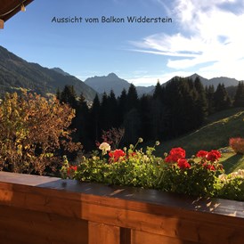 Unterkunft im Allgäu: Balkon mit traumhafter Aussicht, App. Widderstein - Ferienwohnungen Haus Narzisse