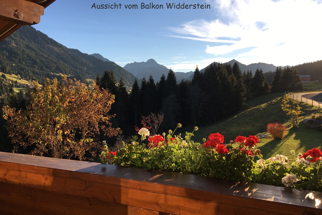 Unterkunft im Allgäu: Balkon mit traumhafter Aussicht, App. Widderstein - Ferienwohnungen Haus Narzisse