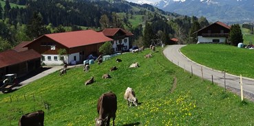hotels-und-ferienwohnungen-im-oberallgaeu - Freizeit: Skifahren - Bad Hindelang Unterjoch - Bergbauernhof Rief