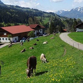 gastgeber-im-oberallgaeu: Urlaub auf dem Bauernhof in Rettenberg im Allgäu - Bergbauernhof Rief