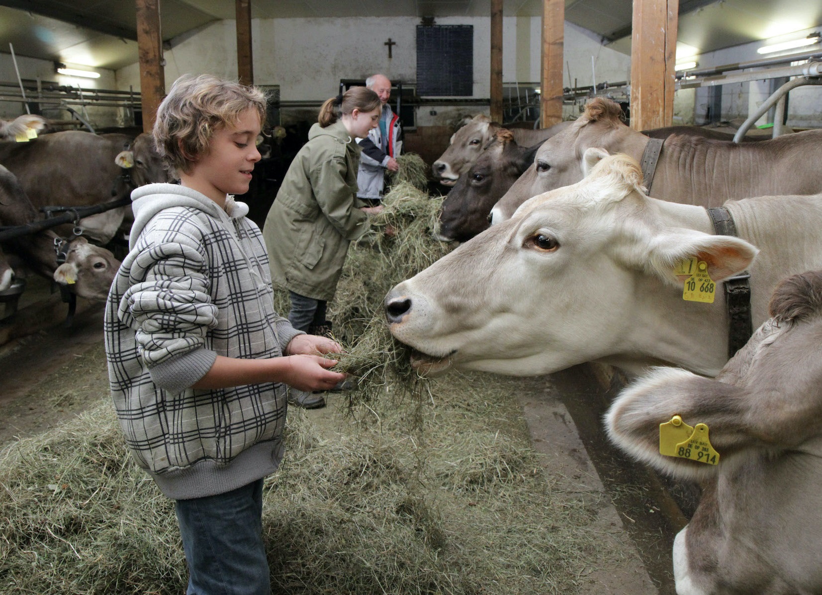 Unterkunft im Allgäu: Urlaub mit Kindern auf dem Bauernhof im Allgäu - Bergbauernhof Rief in Rettenberg im Allgäu