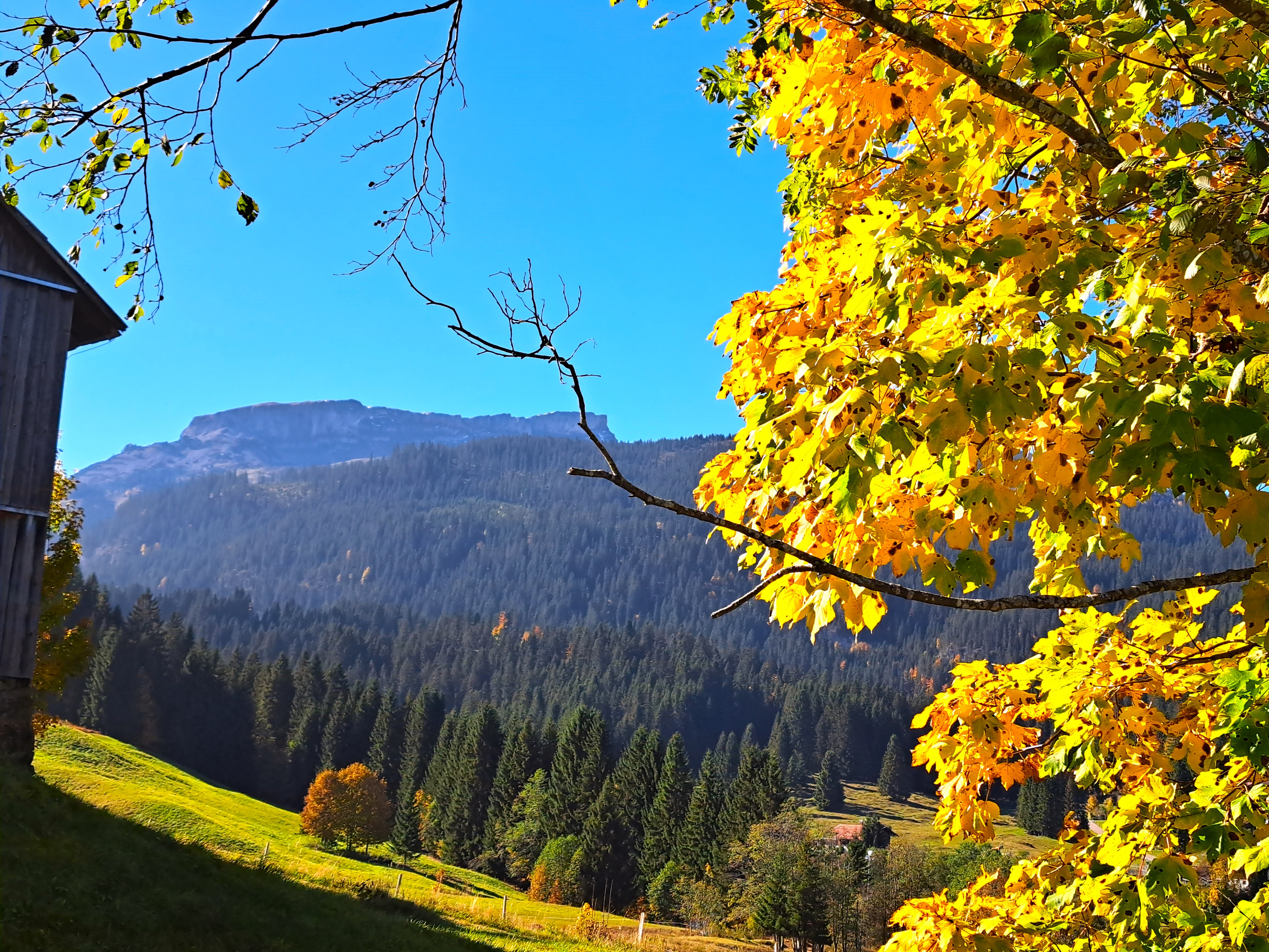 Familienhotel Kleinwalsertal in Riezlern Angebote Herbst Pauschale 