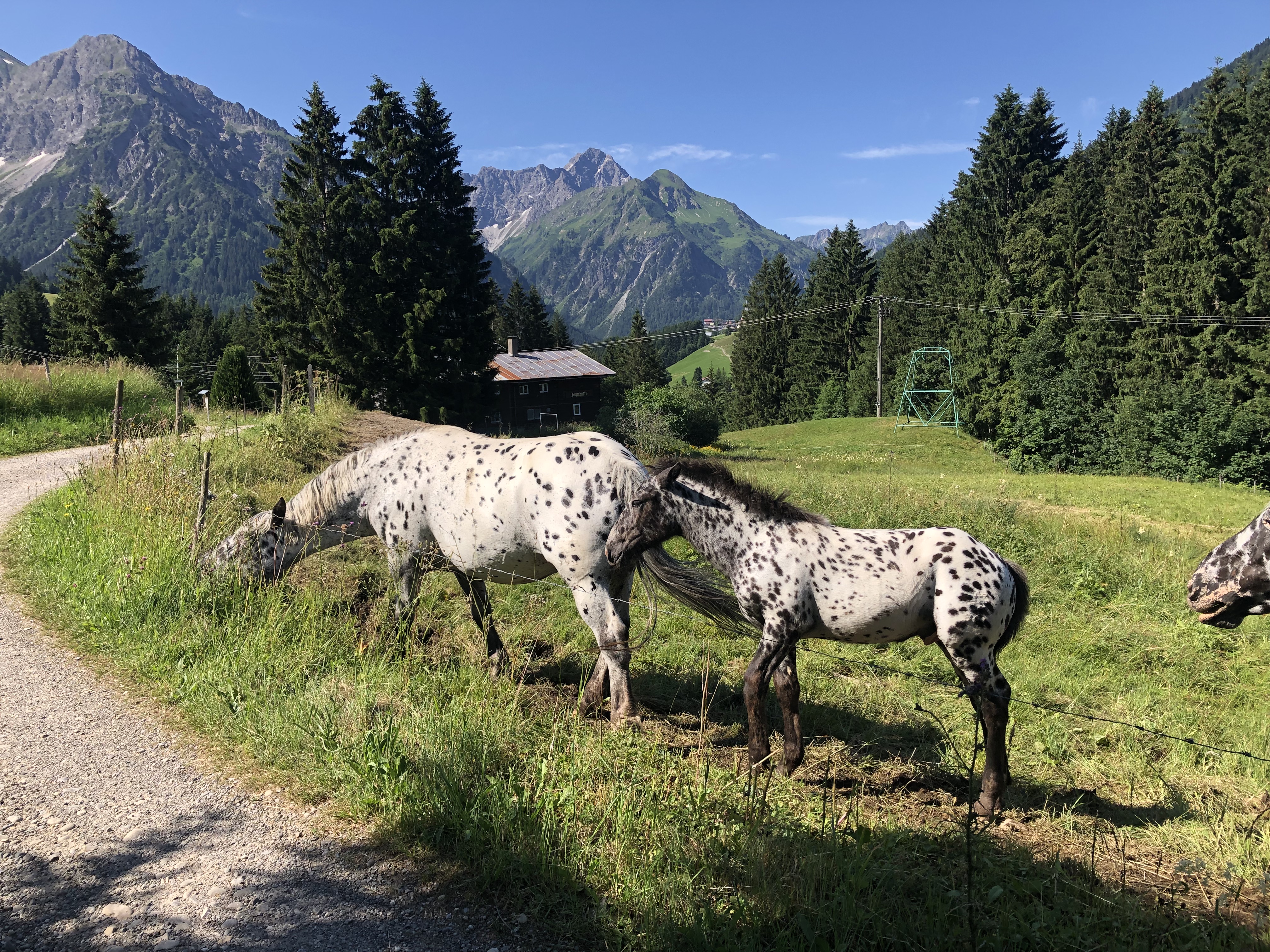 Unterkunft im Allgäu: Gästehaus Strasser - Appartements im Kleinwalsertal - Gästehaus Strasser - Appartements im Kleinwalsertal
