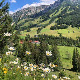 gastgeber-im-oberallgaeu: Feriendomizil Panorama in Bad Hindelang - Oberjoch - Feriendomizil Panorama