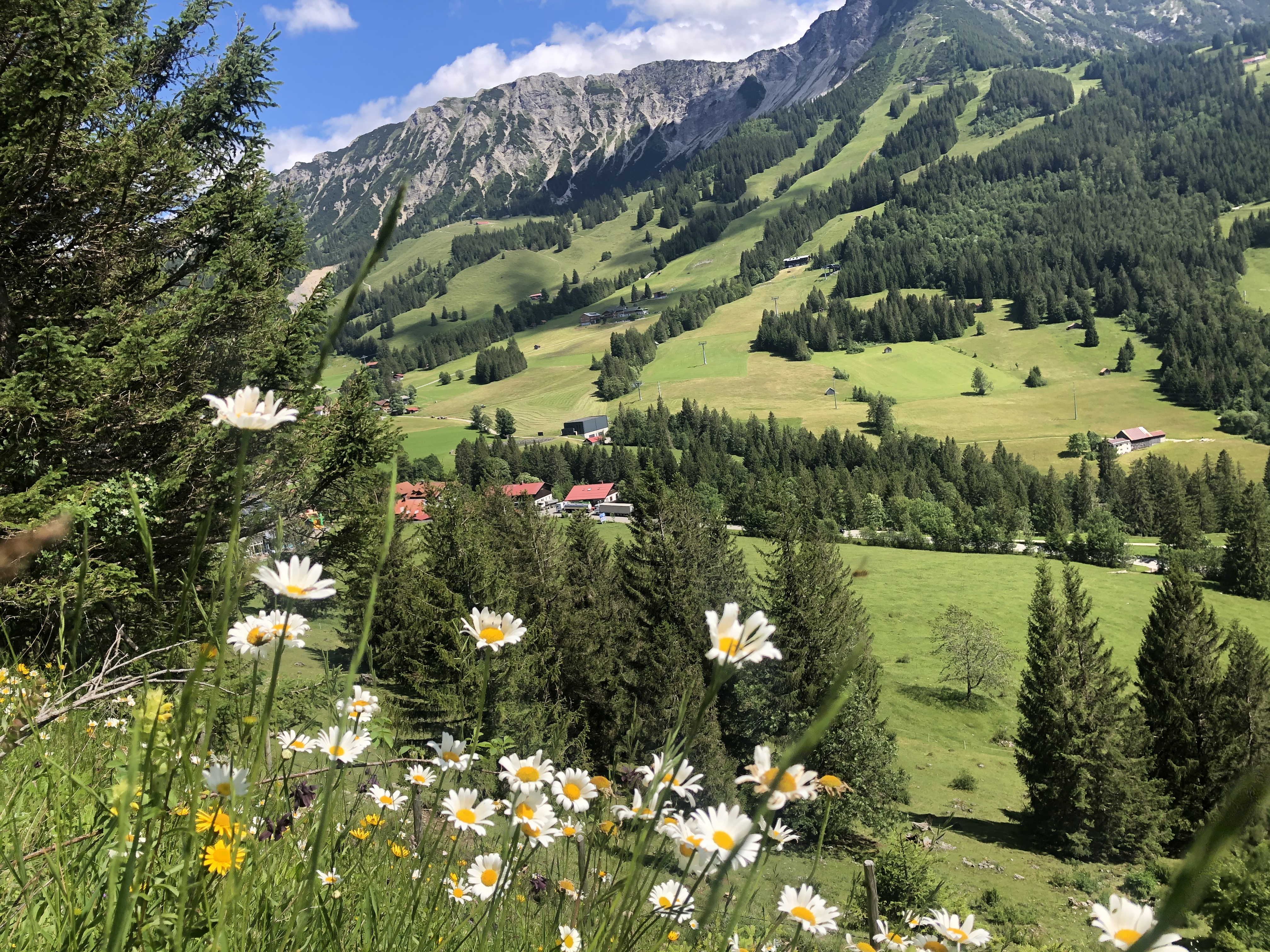 Unterkunft im Allgäu: Feriendomizil Panorama in Bad Hindelang - Oberjoch - Feriendomizil Panorama - Ferienwohnungen in Oberjoch