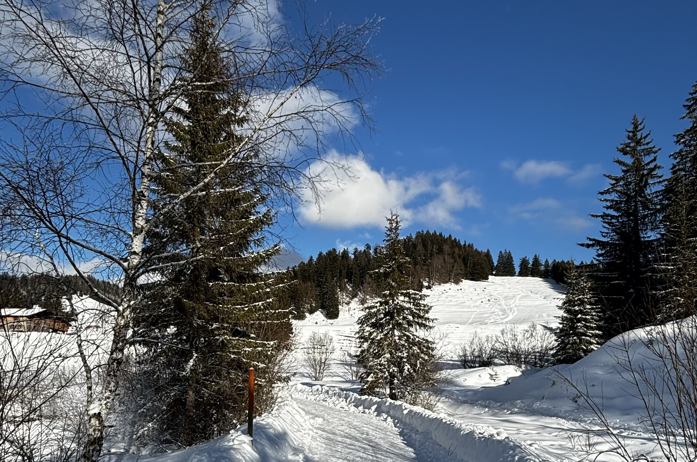 Unterkunft im Allgäu: Feriendomizil Panorama in Bad Hindelang - Oberjoch - Feriendomizil Panorama - Ferienwohnungen in Oberjoch
