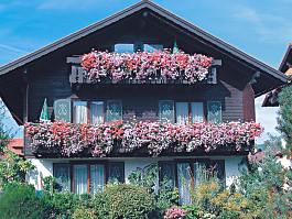 Hotels und Ferienwohnungen im Oberallgäu - Unterkunftsart: Ferienwohnung / Appartement - Heim