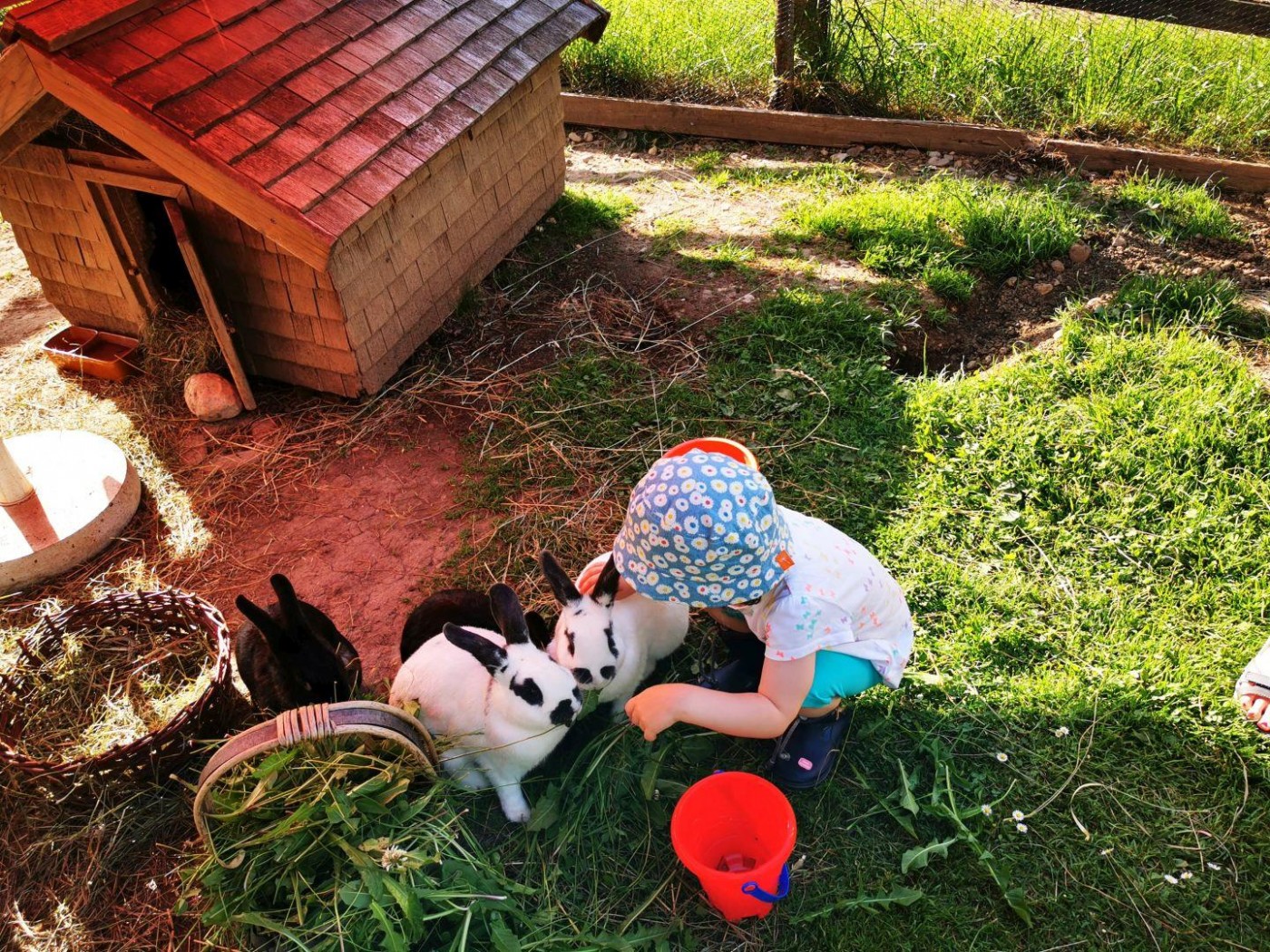 Unterkunft im Allgäu: Ferienwohnungen Theresienhof in Balderschwang im Oberallgäu - Theresienhof - Ferienwohnungen in Balderschwang