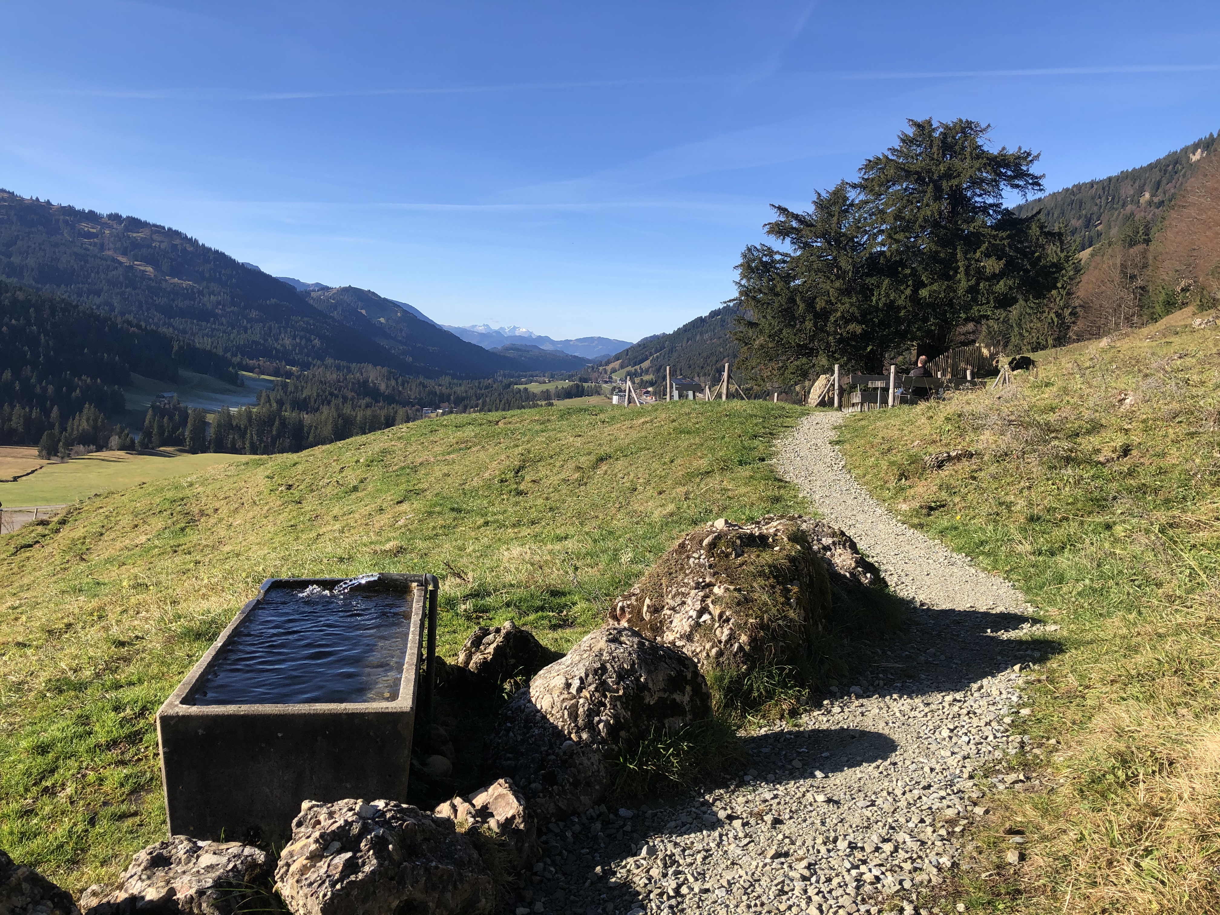 Unterkunft im Allgäu: Ferienwohnungen Theresienhof in Balderschwang im Oberallgäu - Theresienhof - Ferienwohnungen in Balderschwang