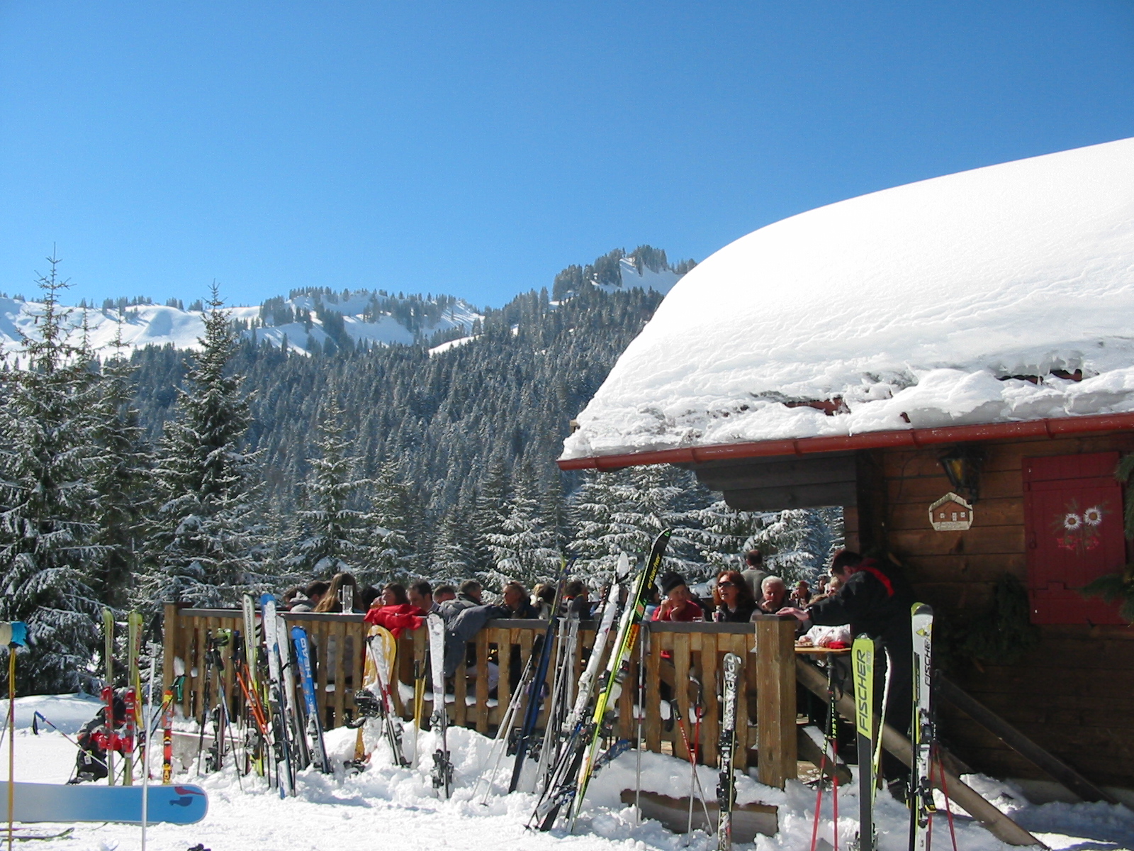 Unterkunft im Allgäu: Ferienwohnungen Theresienhof in Balderschwang im Oberallgäu - Theresienhof - Ferienwohnungen in Balderschwang