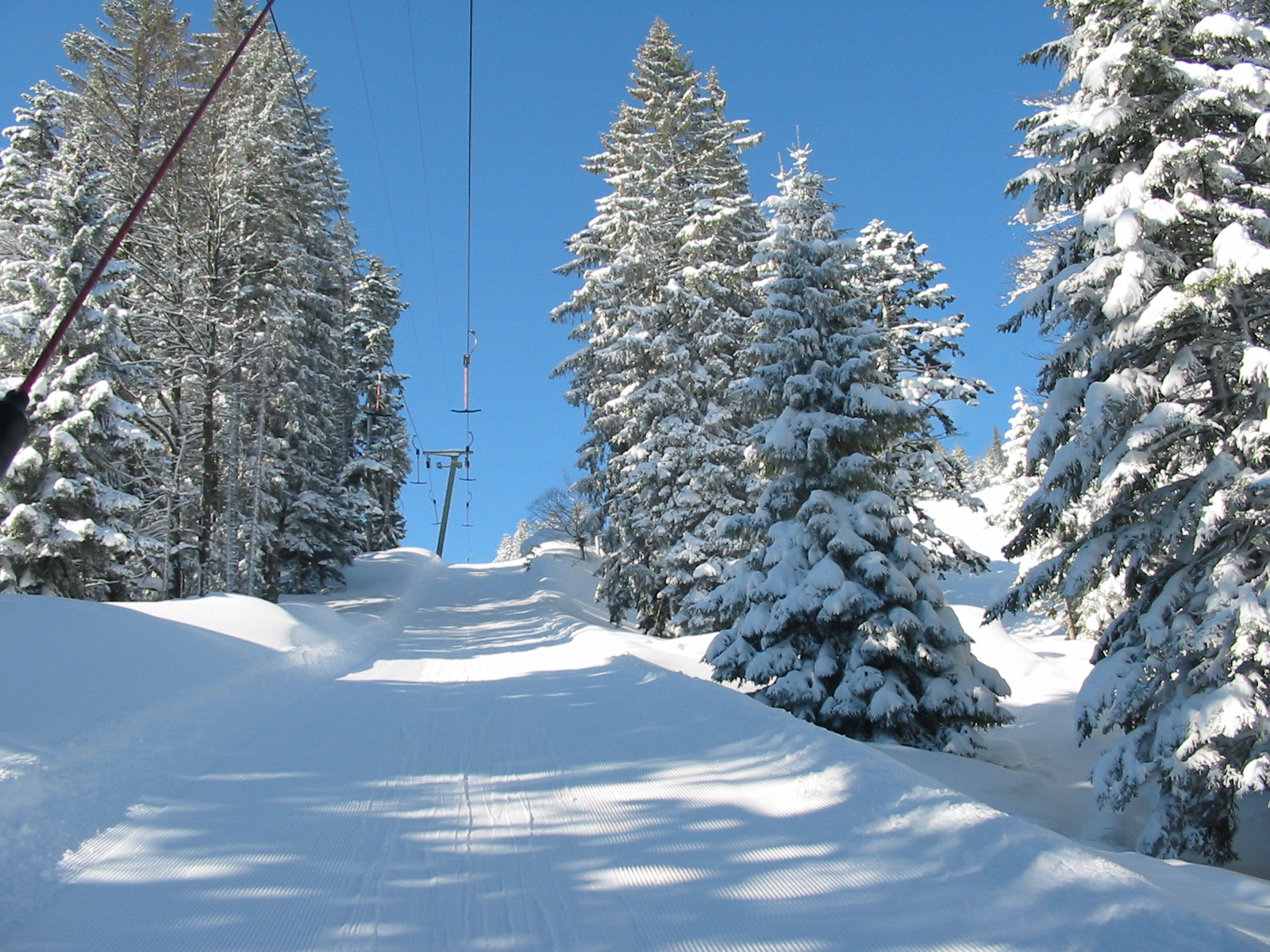 Unterkunft im Allgäu: Ferienwohnungen Theresienhof in Balderschwang im Oberallgäu - Theresienhof - Ferienwohnungen in Balderschwang