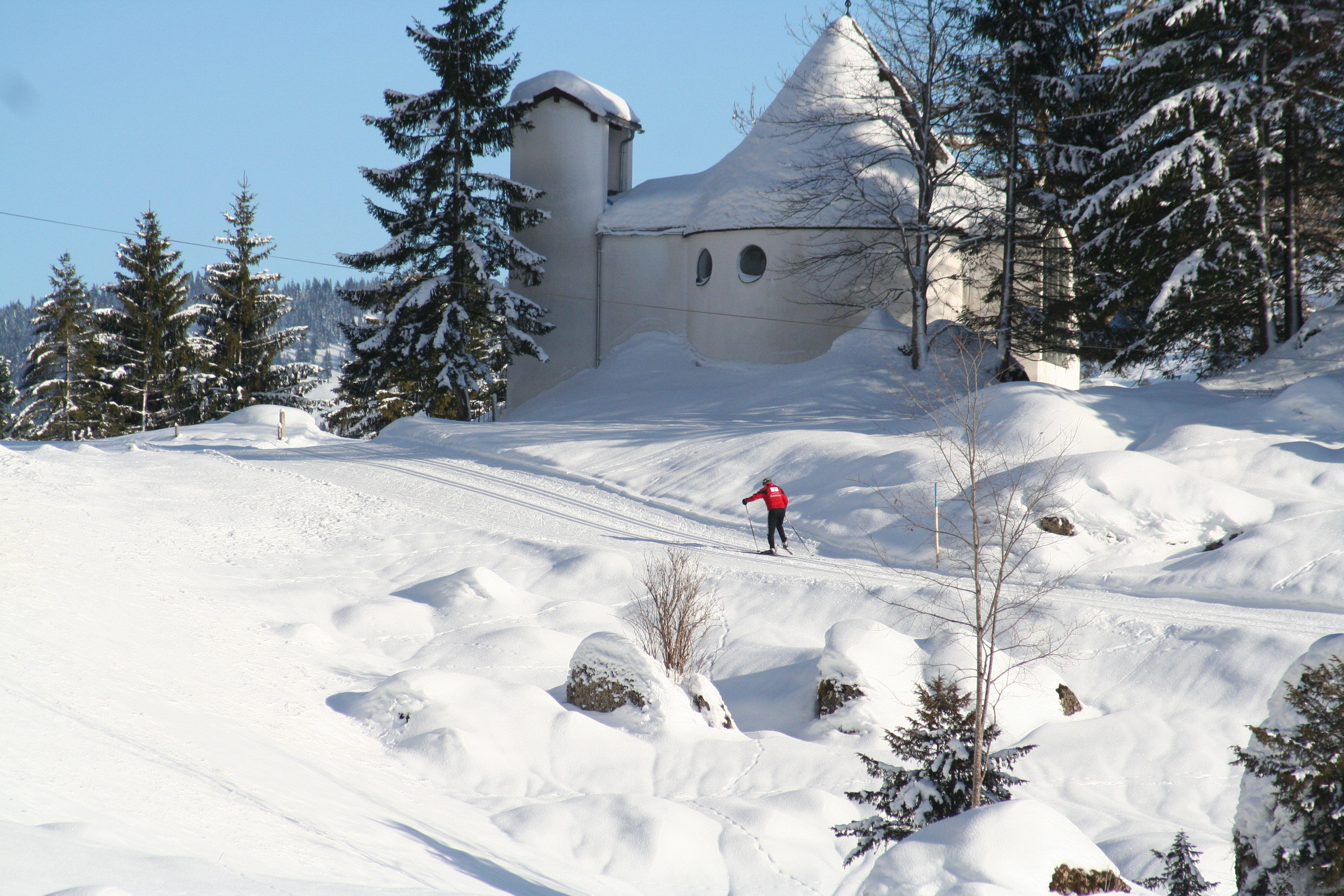 Unterkunft im Allgäu: Ferienwohnungen Theresienhof in Balderschwang im Oberallgäu - Theresienhof - Ferienwohnungen in Balderschwang