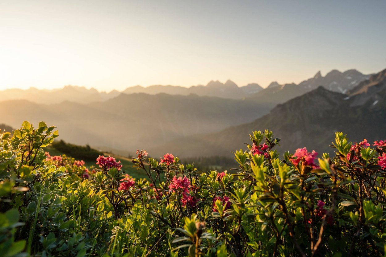 Unterkunft im Allgäu: Ferienwohnungen Haus Jost - Oberstdorf im Allgäu - Ferienwohnungen Haus Jost - Oberstdorf im Allgäu
