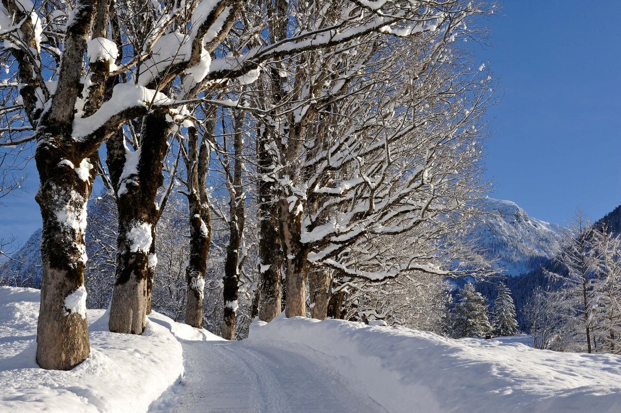 Unterkunft im Allgäu: Ferienwohnungen Haus Jost - Oberstdorf im Allgäu - Ferienwohnungen Haus Jost - Oberstdorf im Allgäu