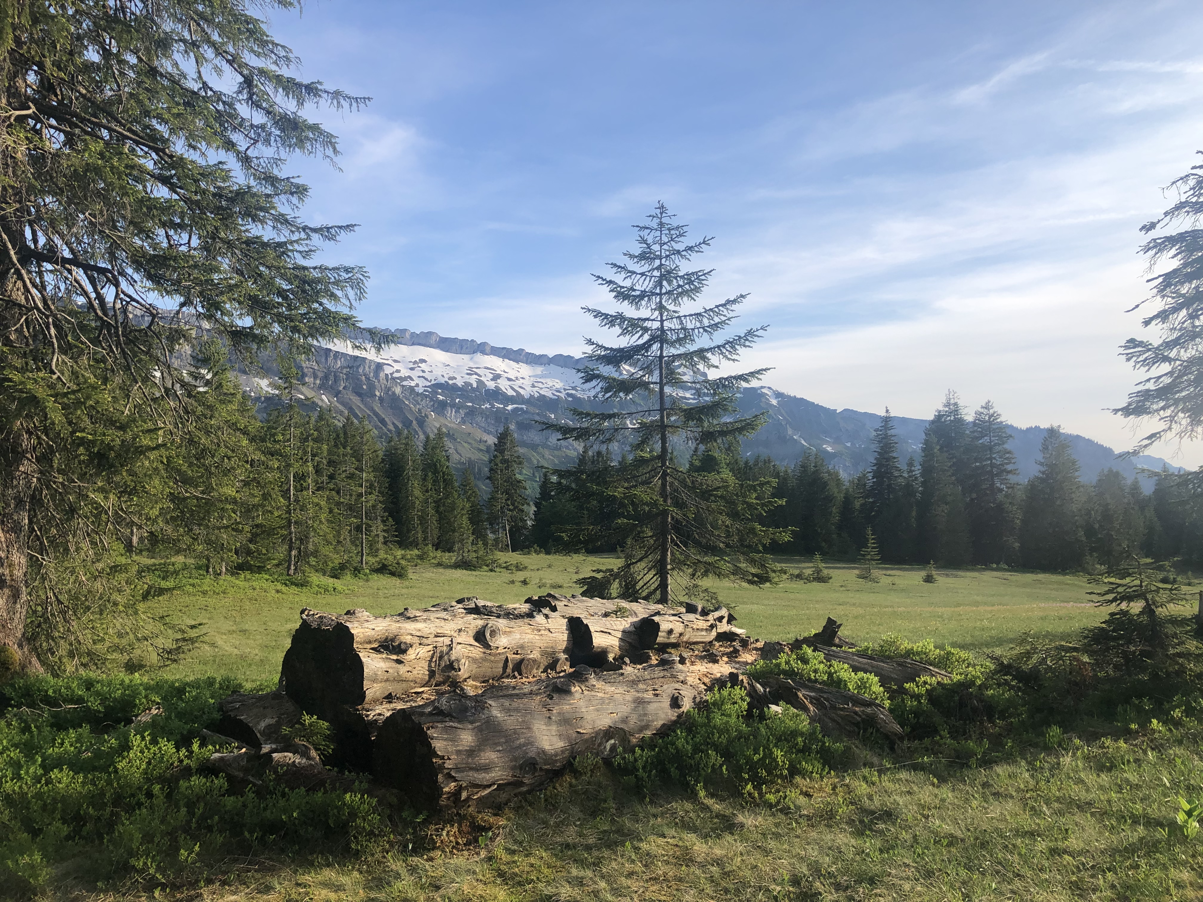 Unterkunft im Allgäu: Landhaus Glaab in Oberstdorf - Reichenbach im Allgäu - Landhaus Glaab - Gästezimmer & Ferienwohnungen