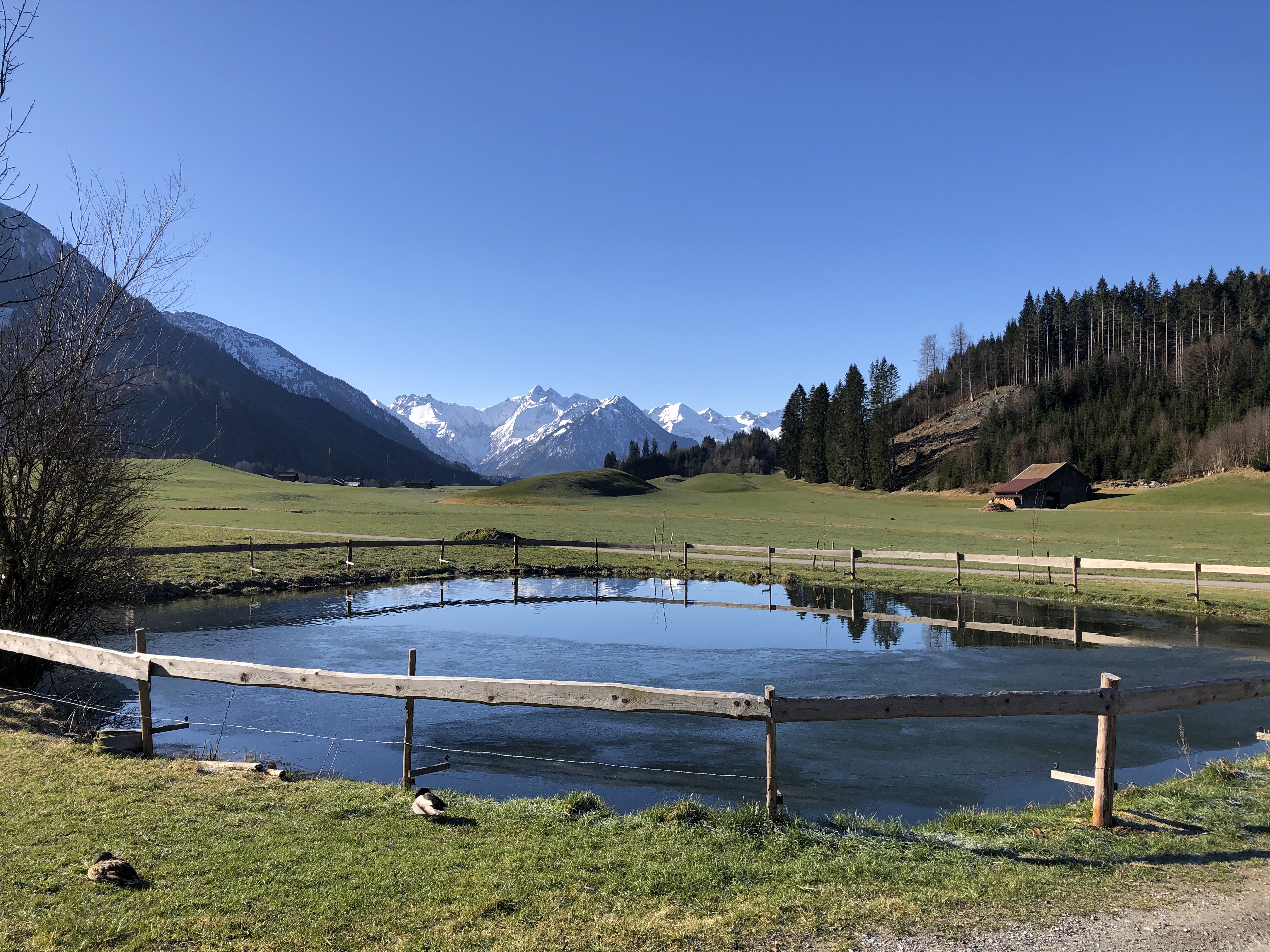 Unterkunft im Allgäu: Landhaus Glaab in Oberstdorf - Reichenbach im Allgäu - Landhaus Glaab - Gästezimmer & Ferienwohnungen