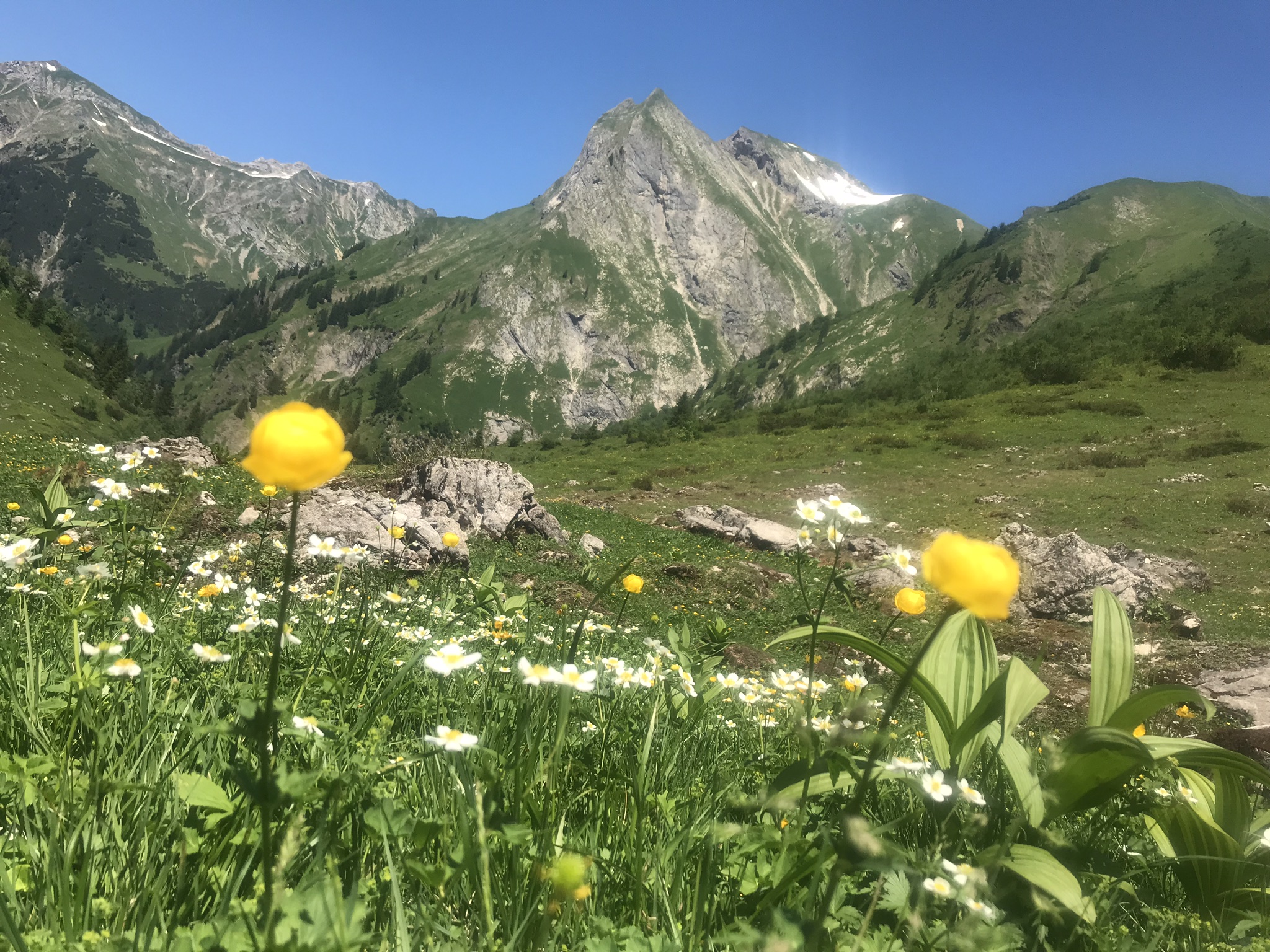 Unterkunft im Allgäu: Landhaus Glaab in Oberstdorf - Reichenbach im Allgäu - Landhaus Glaab - Gästezimmer & Ferienwohnungen