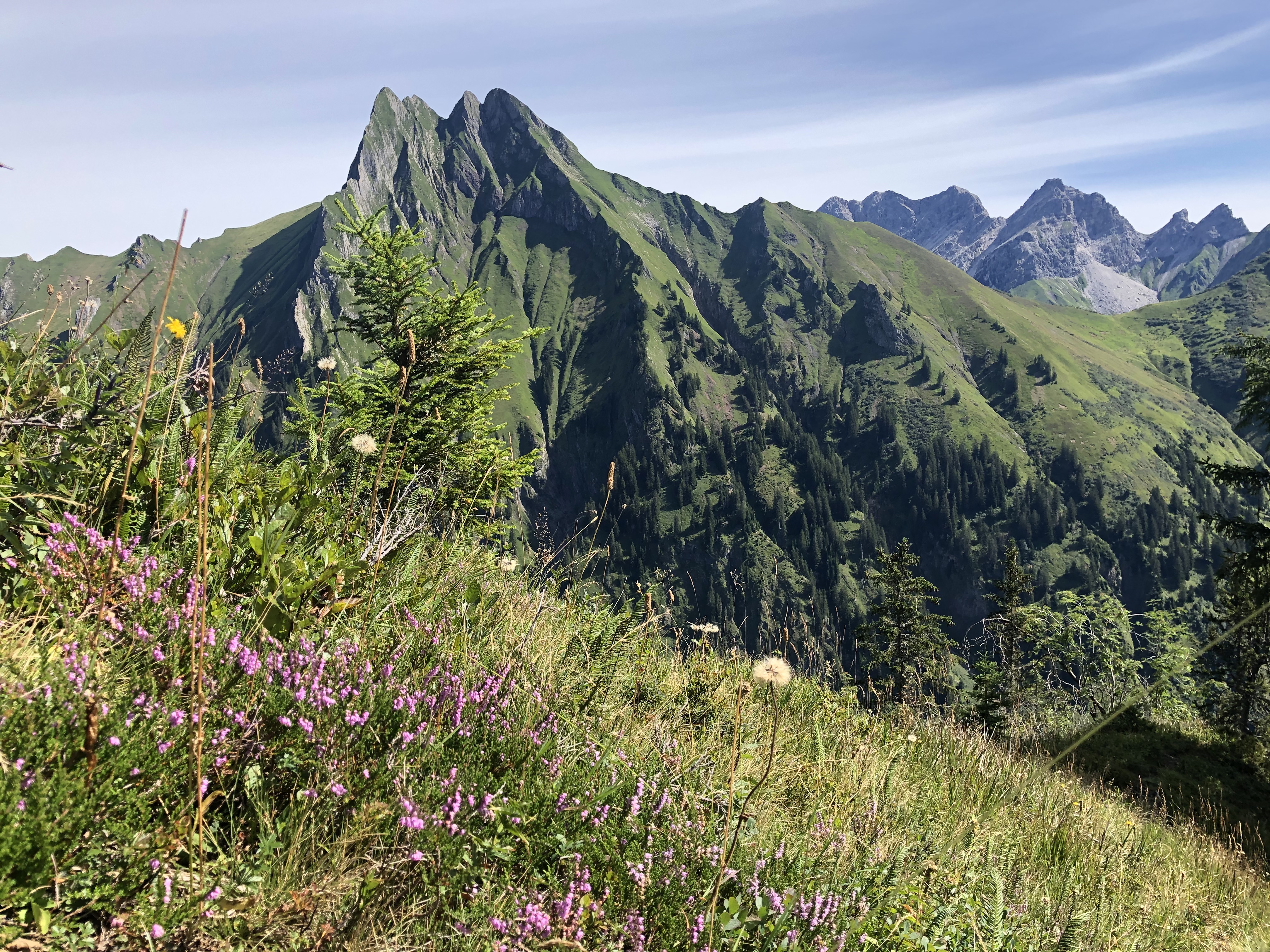Unterkunft im Allgäu: Landhaus Glaab in Oberstdorf - Reichenbach im Allgäu - Landhaus Glaab - Gästezimmer & Ferienwohnungen