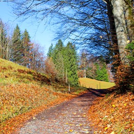 Unterkunft im Allgäu: Wanderweg bei Reichenbach im November 2023 - Landhaus Glaab - Gästezimmer & Ferienwohnungen